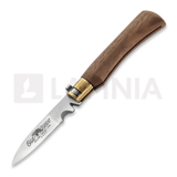 Antonini - Old Bear Electrician