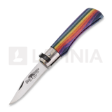Antonini - Old Bear Rainbow XS