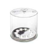 Biolite - Luci Originla Clear, bluegreen