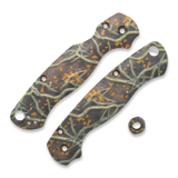 Chroma Scales - Para 2 Roots Scales