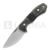 Condor - Mountaineer Trail Intent