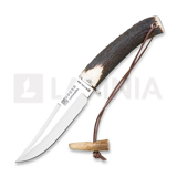 Joker - Luchadera, Stag