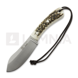 Joker - Nessmuk, Stag