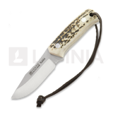 Joker - Rabbit, Stag