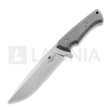 Modestas Skirmantas - Shark