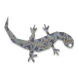 RaidOps - A040 Comodo, tiger stripe