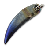 RaidOps - K9.Blue Tooth, Plain