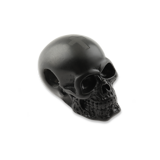 RaidOps - Skull Ghost Rider