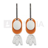 UST - Light A Long Bear