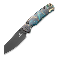 Bestechman - Cicada TLL - PVD - Resin, clear blue