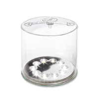 Biolite - Luci Originla Clear, bluegreen