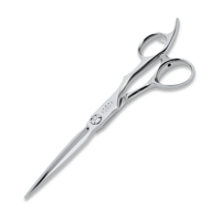 Professional coiffeur, hairdressing scissors