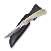 Ox Horn