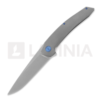 Model-T Gen2 blue accents