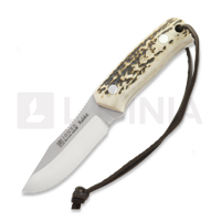 Joker - Rabbit, Stag