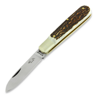 Small buckhorn knife