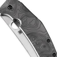 SpydieChef CQI, topograph