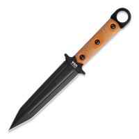 Modern Gladius