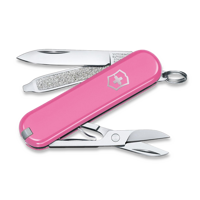 Classic SD Cherry Blossom