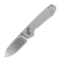 Raccoon ModSwap™ - Satin - G10, grå