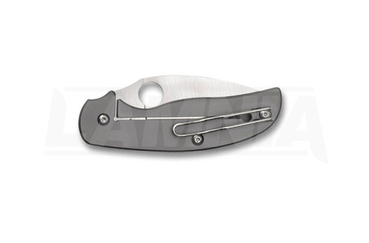Spyderco Sage 2 folding knife C123TIP