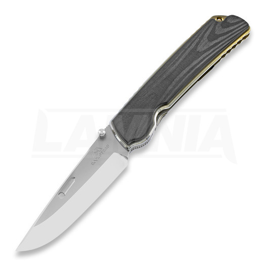 Rockstead Higo II X-CF-ZDP (SG) סכין מתקפלת, silver gold