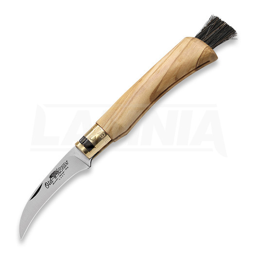Antonini Mushroom סכין מתקפלת, olive
