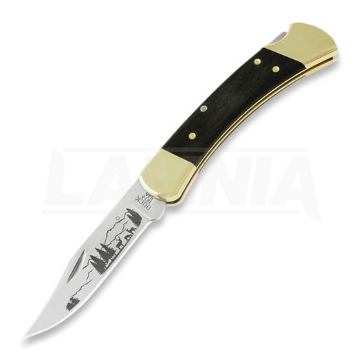 Πτυσσόμενο μαχαίρι Buck Folding Hunter 110