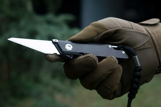 Titaner Raven folding knife, PVD