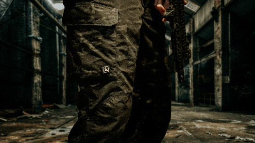 Triple Aught Design Force 10 RS Cargo Pant pants, Deception
