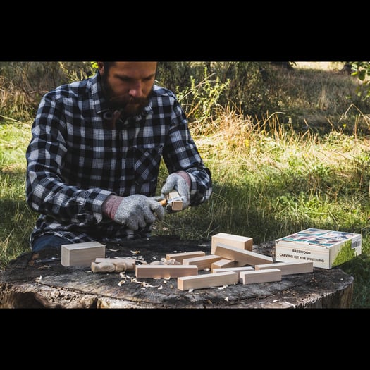 BeaverCraft Wood Carving Blocks set 12pcs Basswood BW12