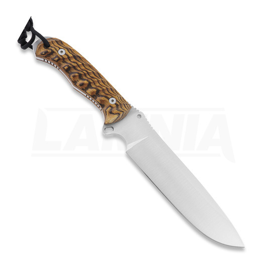 Nieto Desert Fox 刀, bocote 4058-B