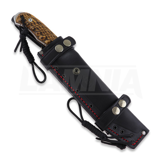 Nieto Desert Fox 刀, bocote 4058-B