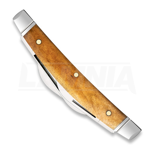 Case Cutlery Small Congress, Antique Bone Smooth 58209