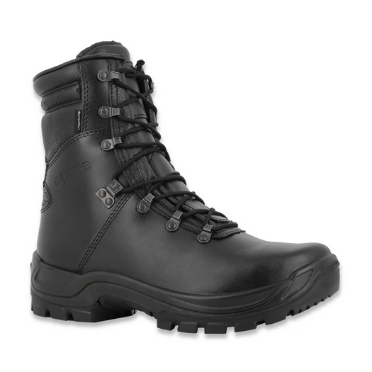 Alpina Arpenaz SV 鞋