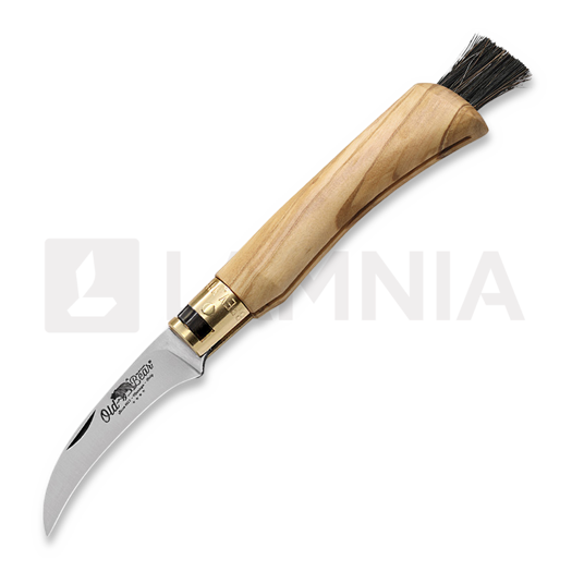 Antonini Mushroom foldekniv, olive