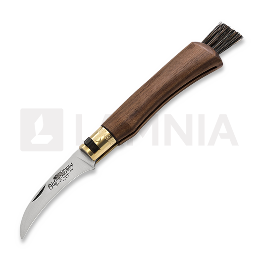 Antonini Mushroom foldekniv, walnut