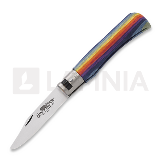 Liigendnuga Antonini Old Bear Junior, rainbow