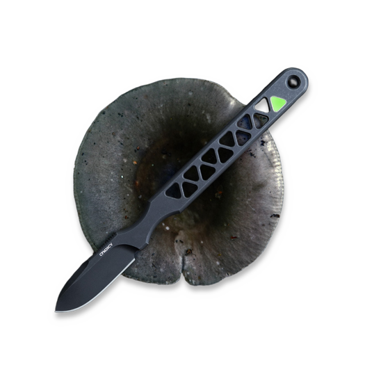 Audacious Concept Backcountry Scalpel Gen.3 - CPM-20CV - Blackwashed knife
