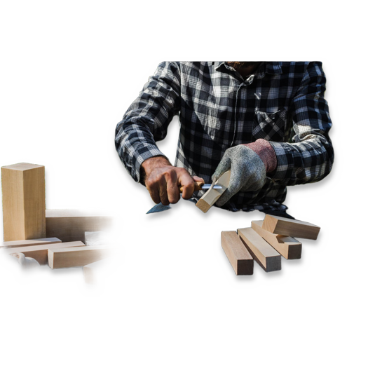 BeaverCraft Wood Carving Blocks set 10pcs Basswood BW10