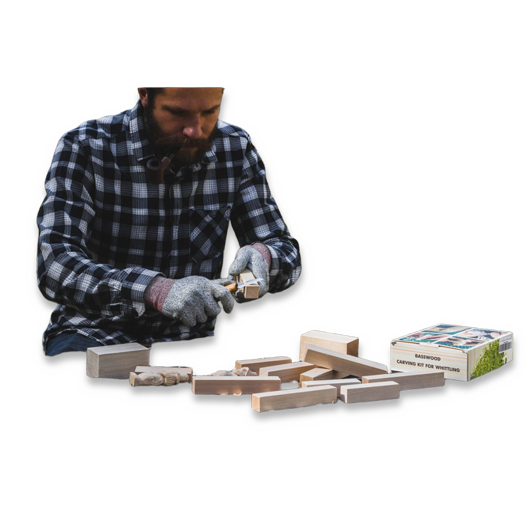 BeaverCraft Wood Carving Blocks set 12pcs Basswood BW12