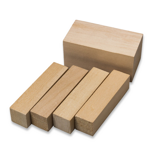 BeaverCraft Wood Carving Blocks set 5pcs Basswood BW1