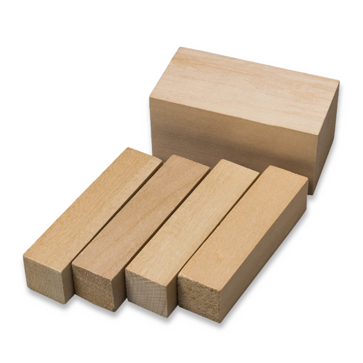 BeaverCraft Wood Carving Blocks set 5pcs Basswood BW1