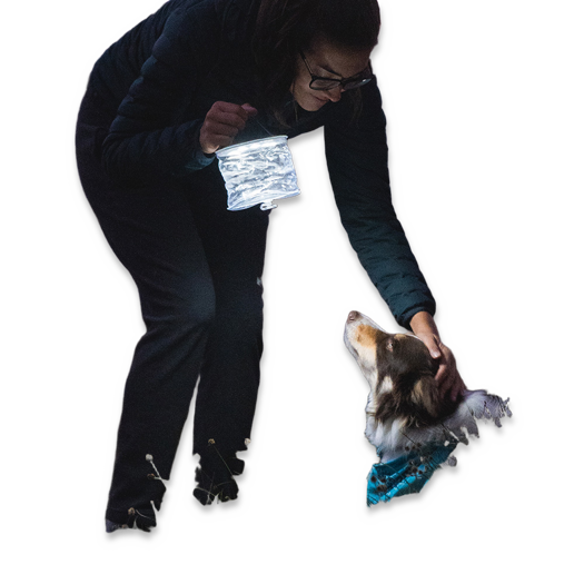 Biolite Luci Originla Clear, bluegreen