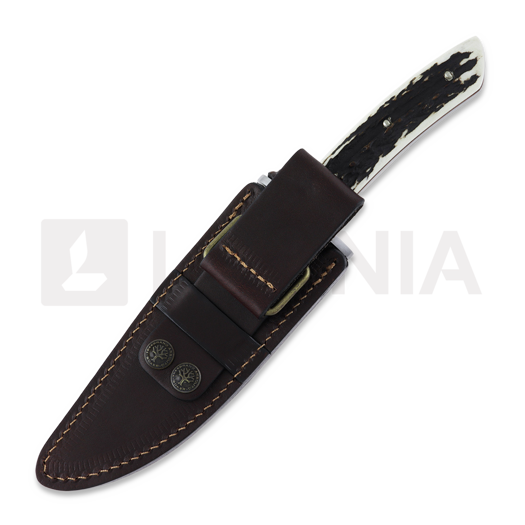 Böker Argentina Esculta Stag 猎刀 02BA593H