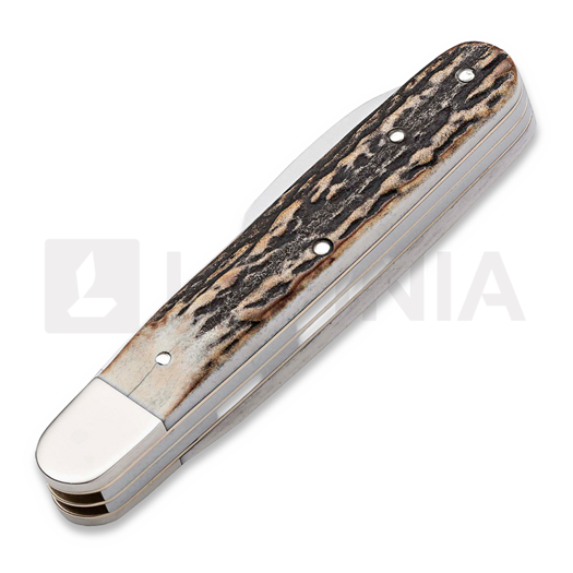Coltello pieghevole Böker Germany Enigma Stag 113031