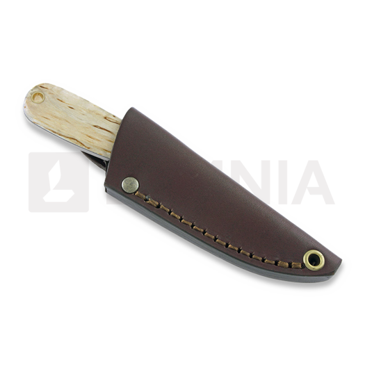 Coltello da collo Brisa Necker 70 Scandi, curly birch, leather