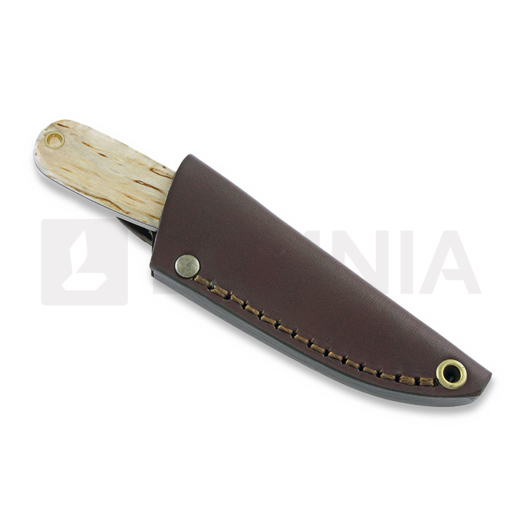 Brisa Necker 70 Scandi neck knife, curly birch, leather