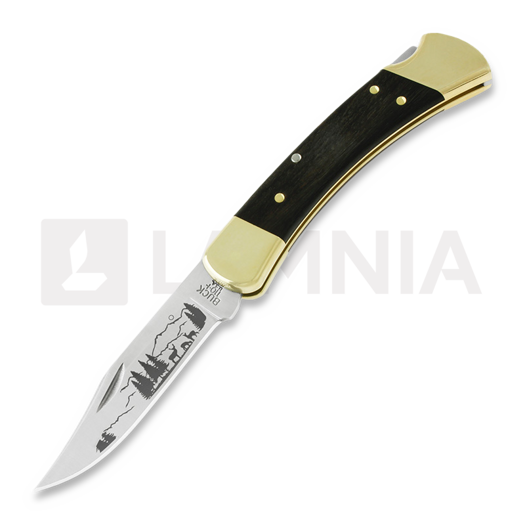 Buck Folding Hunter 110 folding knife, Lamnia Exclusive