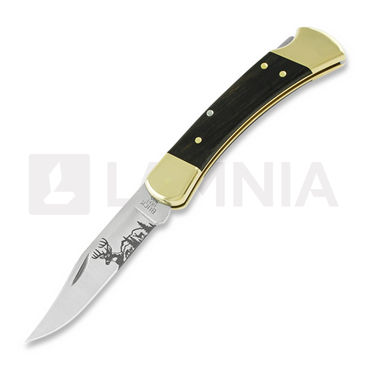 Buck Folding Hunter 110 folding knife, Lamnia Exclusive